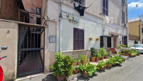 Entire apartment at Via Francesco Costantino Marmocchi, image 45 of 49