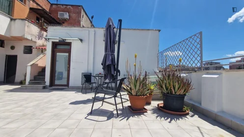 Entire apartment at Via Francesco Costantino Marmocchi, image 48 of 49