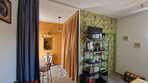 Entire apartment at Via Francesco Costantino Marmocchi, image 6 of 49