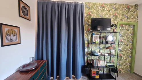 Entire apartment at Via Francesco Costantino Marmocchi, image 7 of 49