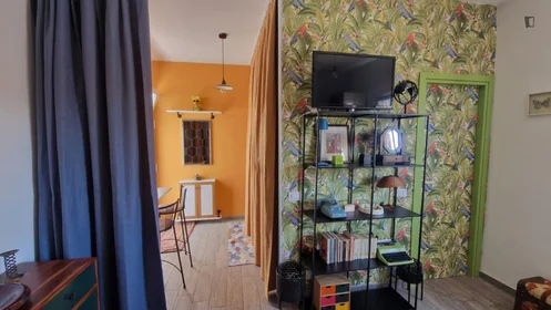 Entire apartment at Via Francesco Costantino Marmocchi, image 8 of 49