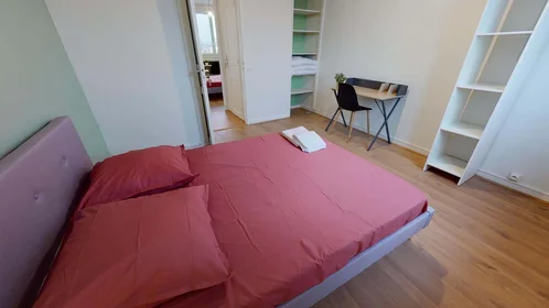 Private room at 261 Rue du 4 Août 1789, 69100 Villeurbanne, France, image 3 of 15