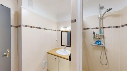 Prywatny pokój 2 Bd Jacques Monod, 84000 Avignon, France, obraz 15 20