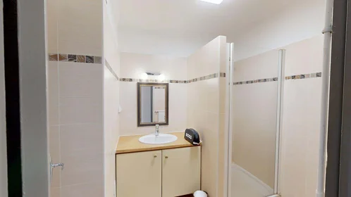 Prywatny pokój 2 Bd Jacques Monod, 84000 Avignon, France, obraz 16 20