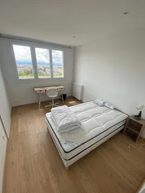Private room at 9 All. des Cèdres, 69100 Villeurbanne, France, image 1 of 17