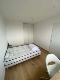 Private room at 9 All. des Cèdres, 69100 Villeurbanne, France, image 2 of 17