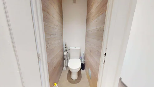 Private room at 9 All. des Cèdres, 69100 Villeurbanne, France, image 15 of 17