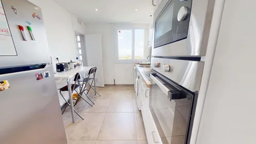 Private room at 9 All. des Cèdres, 69100 Villeurbanne, France, image 4 of 17