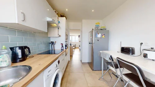Private room at 9 All. des Cèdres, 69100 Villeurbanne, France, image 5 of 17