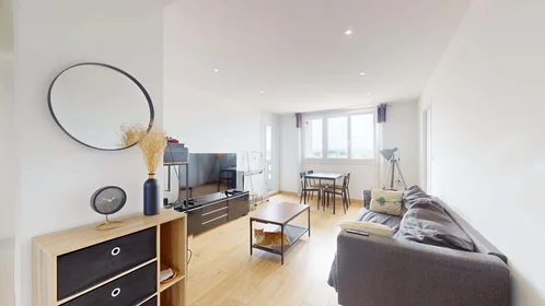 Private room at 9 All. des Cèdres, 69100 Villeurbanne, France, image 7 of 17