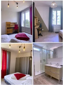 Privatzimmer in der Rennes, 35000, bild 1 von 10
