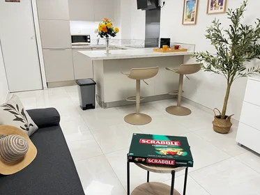 Appartamento intero in Avenue Thiers, immagine 1 di 10