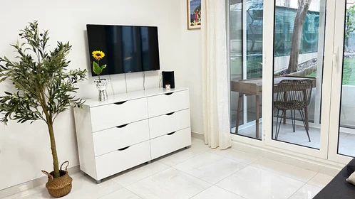Appartamento intero in Avenue Thiers, immagine 8 di 14
