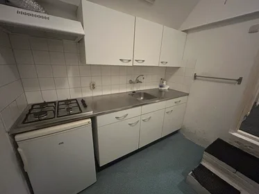 Chambre privée à Hoekstersingel, image 5 de 5