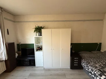 Stanza privata in Zevenwouden, immagine 5 di 10
