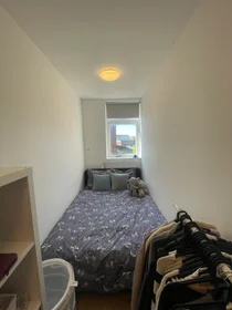 Private room at Westersingel, image 1 of 9