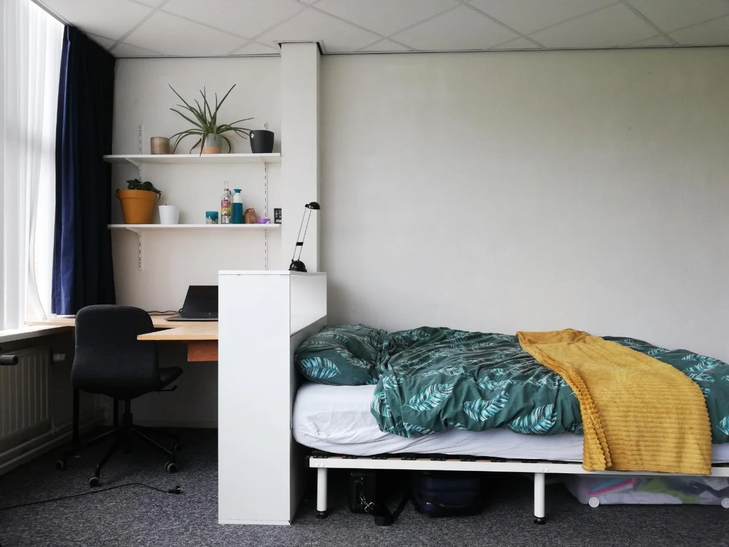 Niedrogi pokój dla studentów z dużym oświetleniem w 