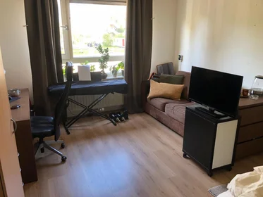 Stanza privata in Zevenwouden, immagine 1 di 4