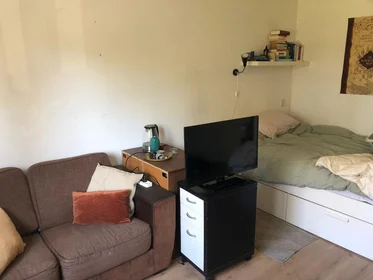 Stanza privata in Zevenwouden, immagine 2 di 4