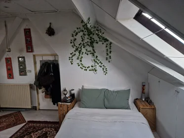 Private room at Semmelinkstraat, image 1 of 5