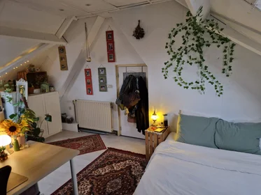 Private room at Semmelinkstraat, image 2 of 5