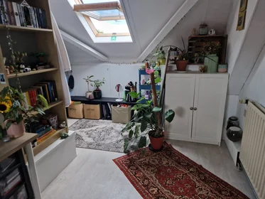 Private room at Semmelinkstraat, image 3 of 5