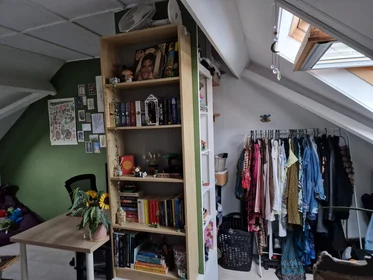 Private room at Semmelinkstraat, image 4 of 5