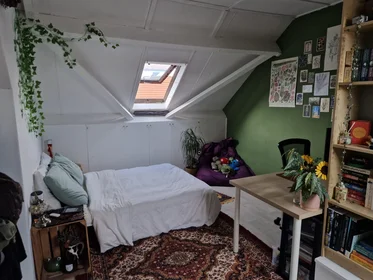 Private room at Semmelinkstraat, image 5 of 5