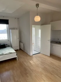 Monolocale in Heerderweg, immagine 5 di 10