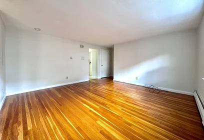 Appartamento intero in residence in 12, Vinal St., Unit 3, Brighton, Boston, MA, 02135, immagine 2 di 18