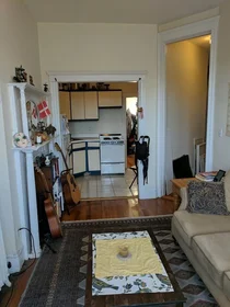 Appartamento intero in residence in 509, Columbus Ave., Unit 8, South End, Boston, MA, 02118, immagine 14 di 23