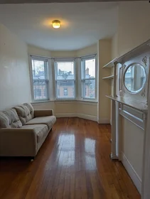 Appartamento intero in residence in 509, Columbus Ave., Unit 8, South End, Boston, MA, 02118, immagine 15 di 23