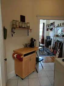 Appartamento intero in residence in 509, Columbus Ave., Unit 8, South End, Boston, MA, 02118, immagine 16 di 23
