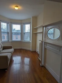 Appartamento intero in residence in 509, Columbus Ave., Unit 8, South End, Boston, MA, 02118, immagine 17 di 23