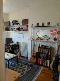 Appartamento intero in residence in 509, Columbus Ave., Unit 8, South End, Boston, MA, 02118, immagine 3 di 23