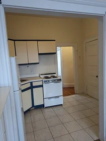 Appartamento intero in residence in 509, Columbus Ave., Unit 8, South End, Boston, MA, 02118, immagine 4 di 23