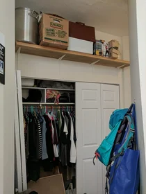 Appartamento intero in residence in 509, Columbus Ave., Unit 8, South End, Boston, MA, 02118, immagine 7 di 23