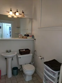 Appartamento intero in residence in 509, Columbus Ave., Unit 8, South End, Boston, MA, 02118, immagine 10 di 23