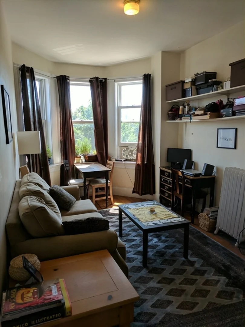 509, Columbus Ave., Unit 8, South End, Boston, MA, 02118