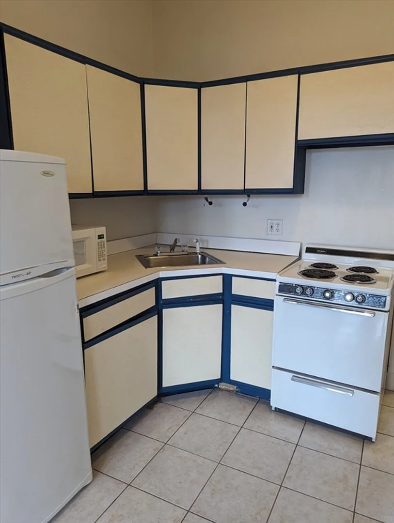 509, Columbus Ave., Unit 8, South End, Boston, MA, 02118