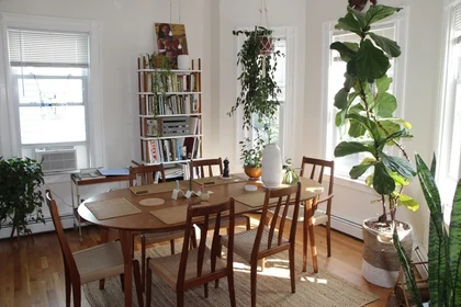 Alojamiento entero en residencia en 15, Arcola, Unit 2, Jamaica Plain, Boston, MA, 02130, imagen 5 de 14