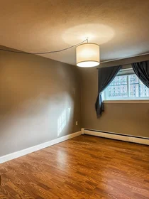 Appartamento intero in residence in 425, South Huntington, Unit 1, Jamaica Plain, Boston, MA, 02130, immagine 17 di 18