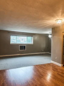 Appartamento intero in residence in 425, South Huntington, Unit 1, Jamaica Plain, Boston, MA, 02130, immagine 3 di 18