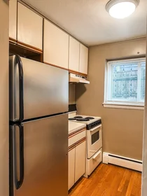 Appartamento intero in residence in 425, South Huntington, Unit 1, Jamaica Plain, Boston, MA, 02130, immagine 6 di 18