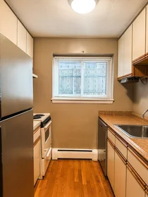 Appartamento intero in residence in 425, South Huntington, Unit 1, Jamaica Plain, Boston, MA, 02130, immagine 10 di 18