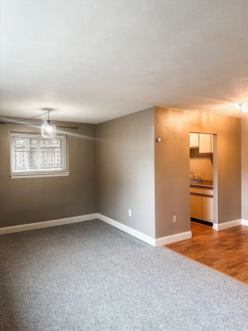 425, South Huntington, Unit 1, Jamaica Plain, Boston, MA, 02130