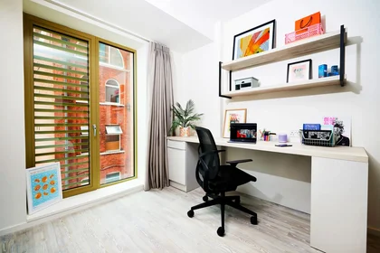 Studio im Wohnheim in der Brunswick Street 20, bild 4 von 15