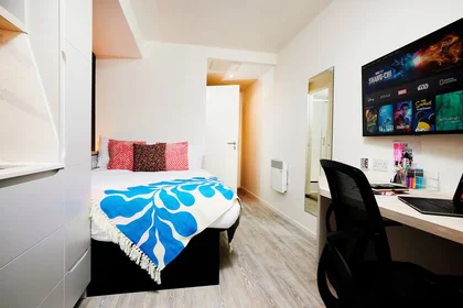 Studio im Wohnheim in der Brunswick Street 20, bild 4 von 14