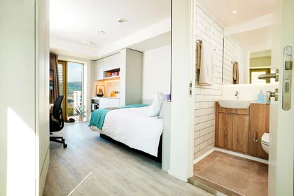Studio im Wohnheim in der Brunswick Street 20, bild 7 von 14