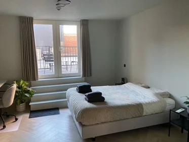 Całe miejsce Bondgenotenlaan, Leuven, obraz 7 10